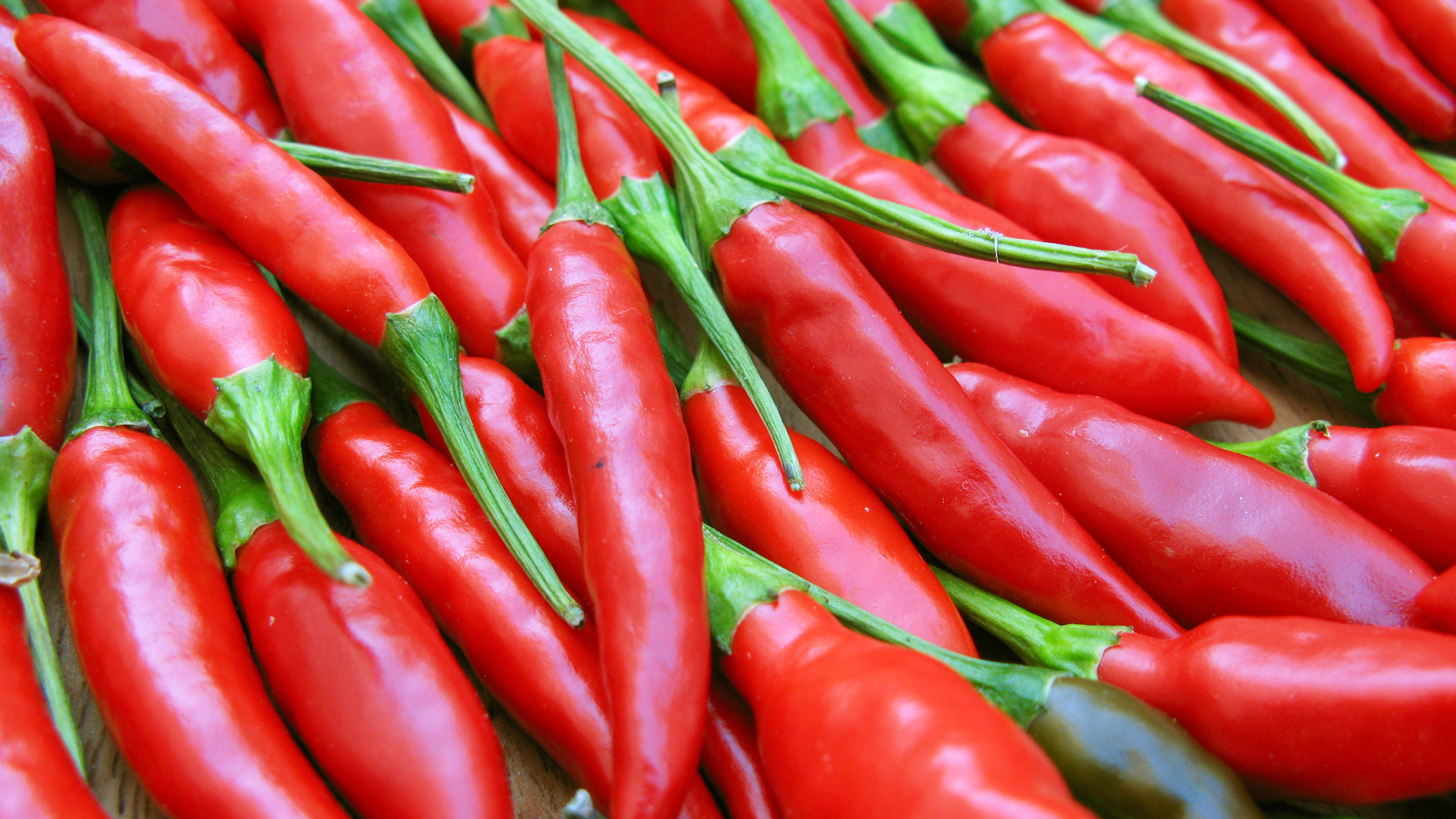An anarchy of chillies