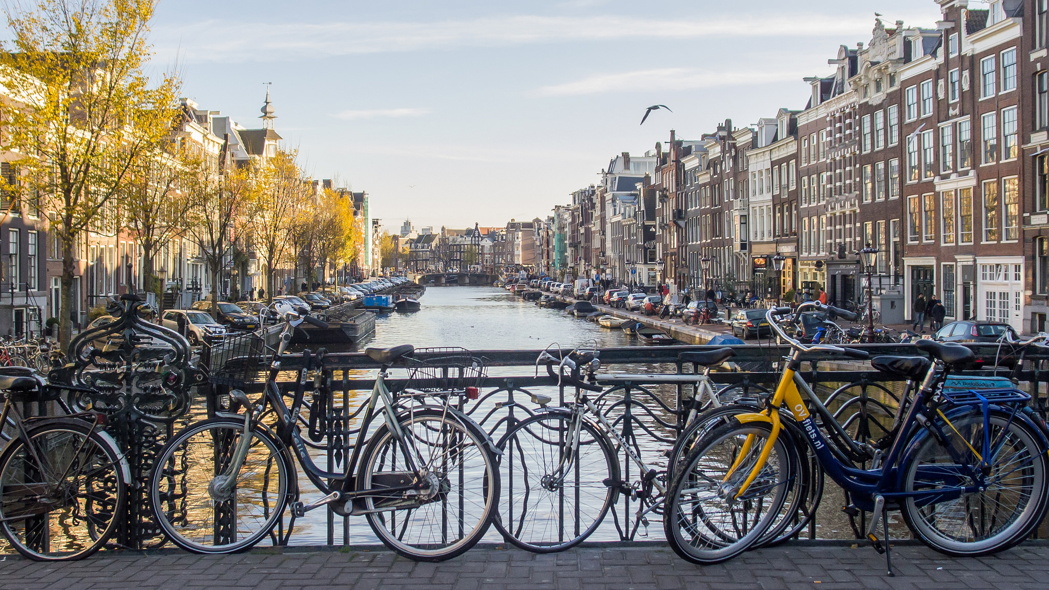 Tall Stories 64: Cycling through Amsterdam