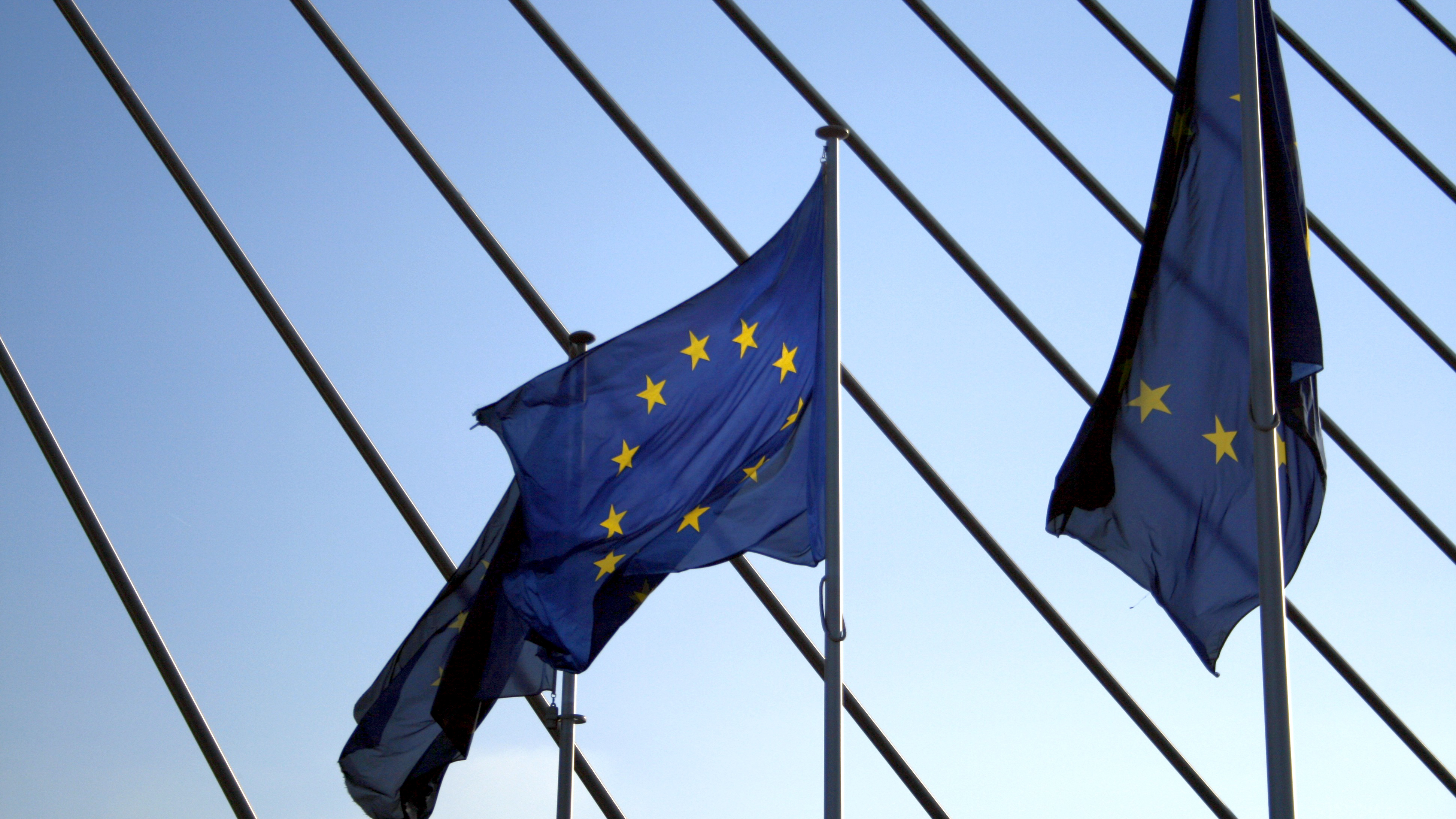 Explainer 46: The EU’s surprising popularity
