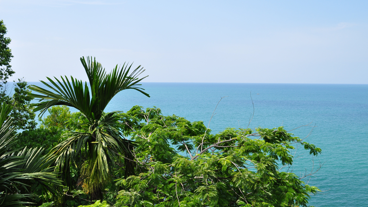 Food Neighbourhoods 125: Khao Lak
