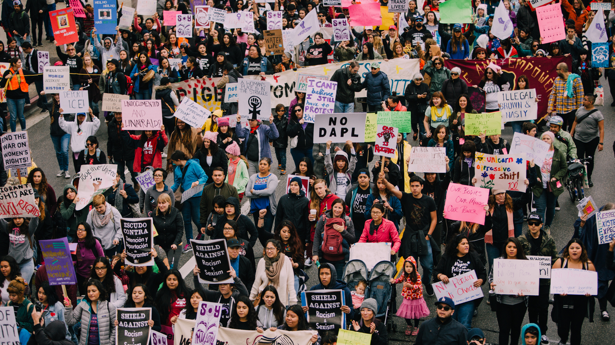The evolution of protest