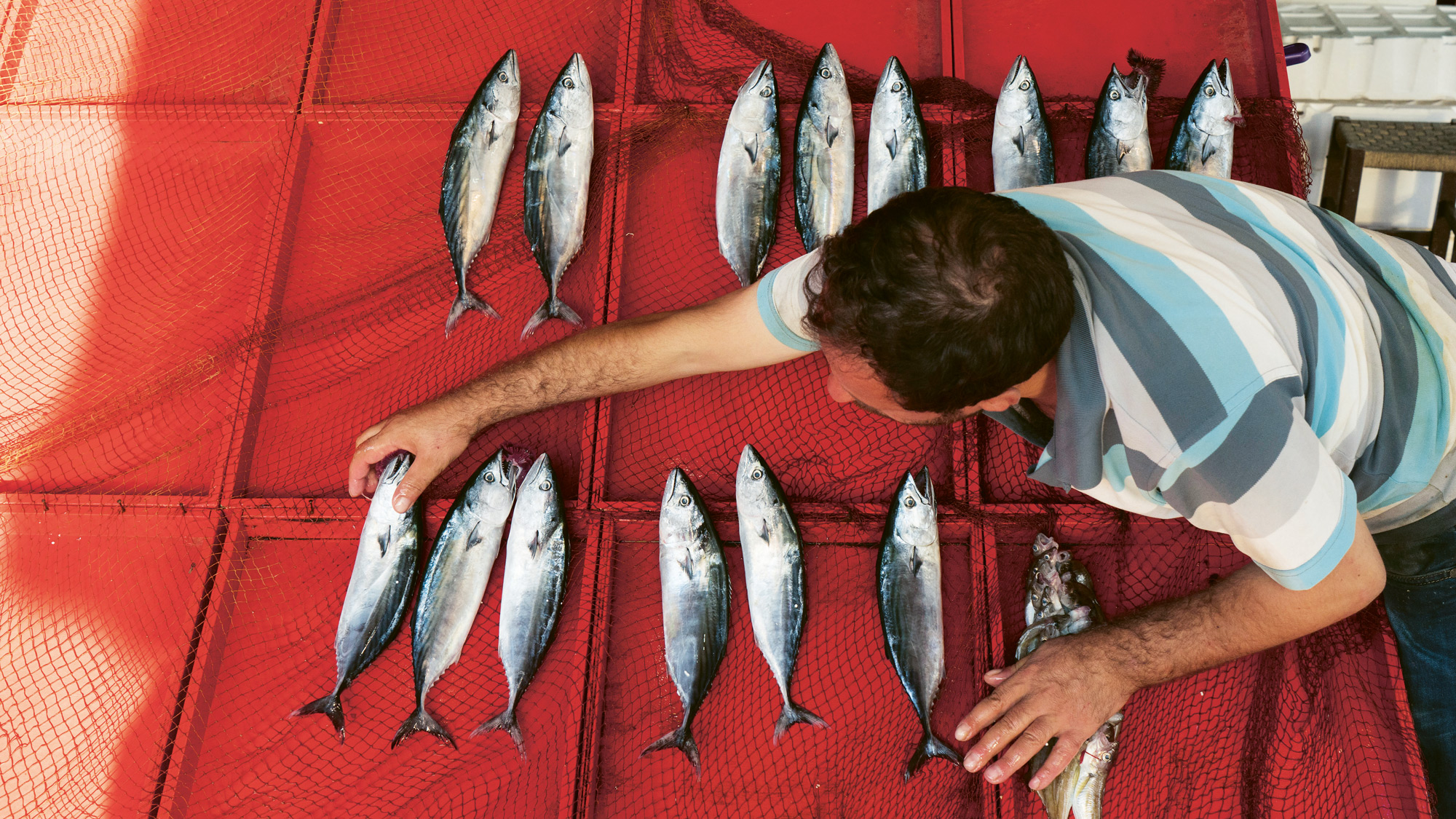 Recipes from the Black Sea