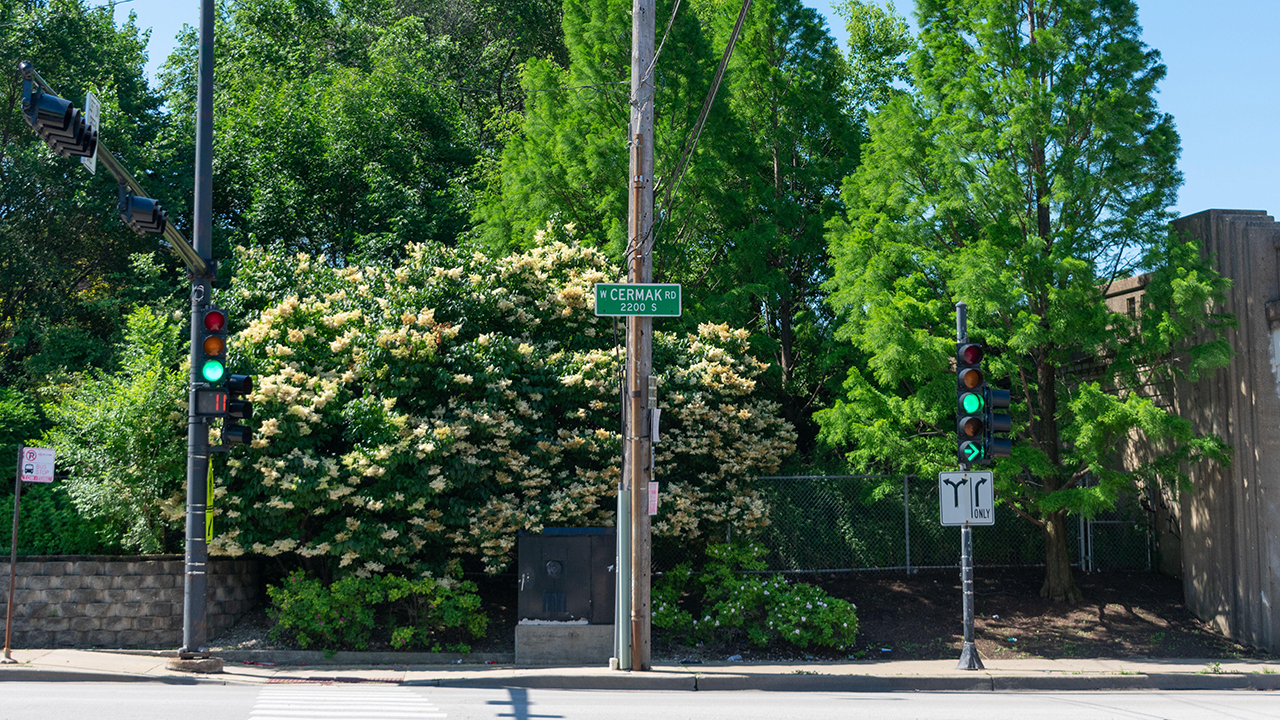 Tall Stories 356: Cermak Road, Chicago