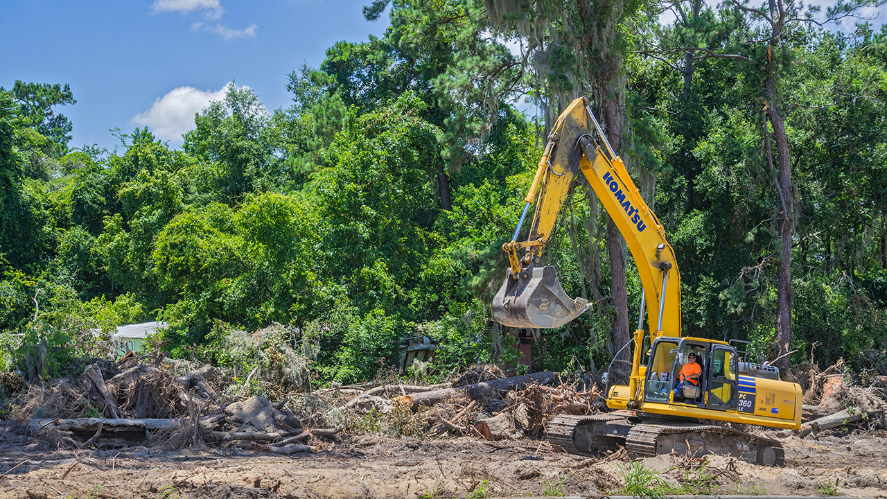 Can natural capital accounting help to meet biodiversity goals?