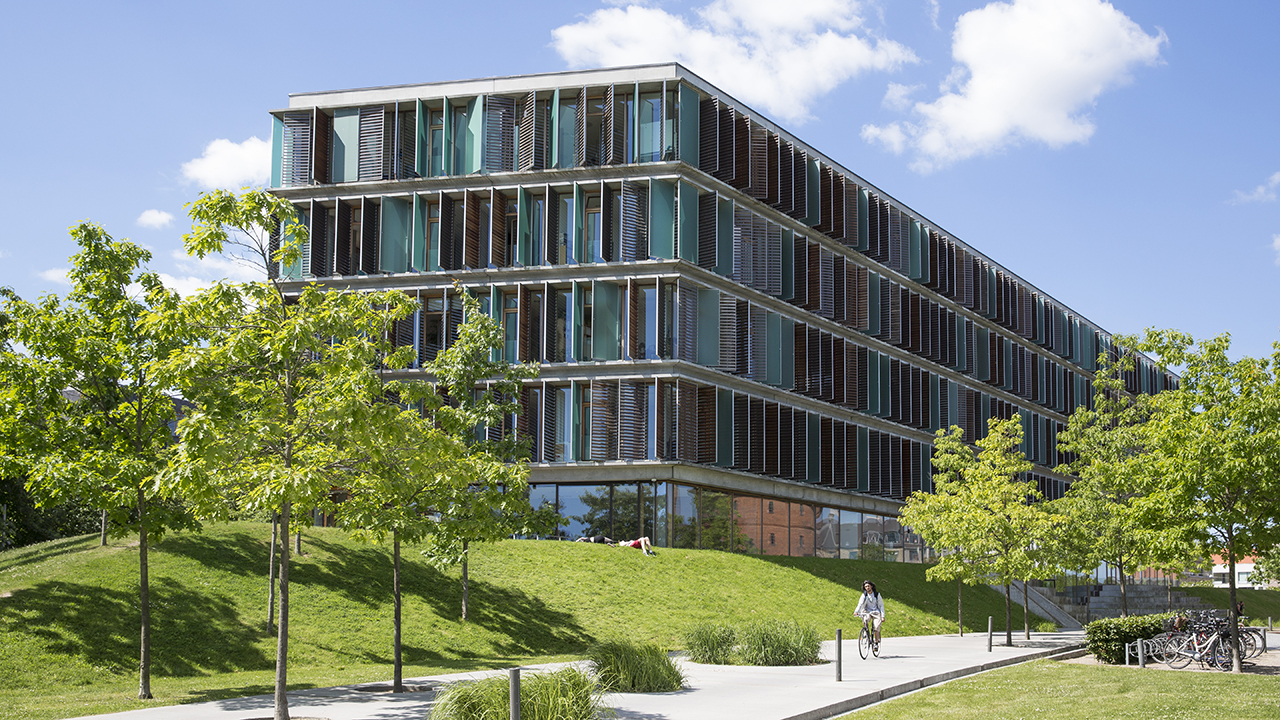 Explainer 259: Nordic Council of Ministers series, part one: Education