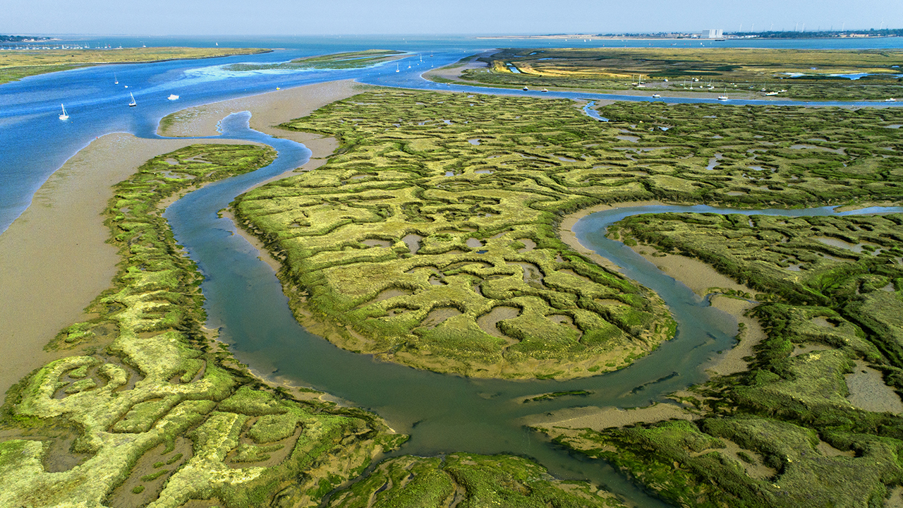 From ozone to oxygen: opportunities and risks in natural capital