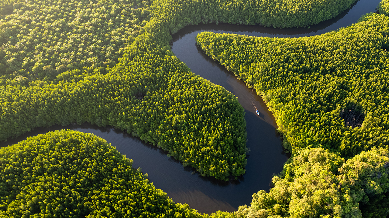 On biodiversity