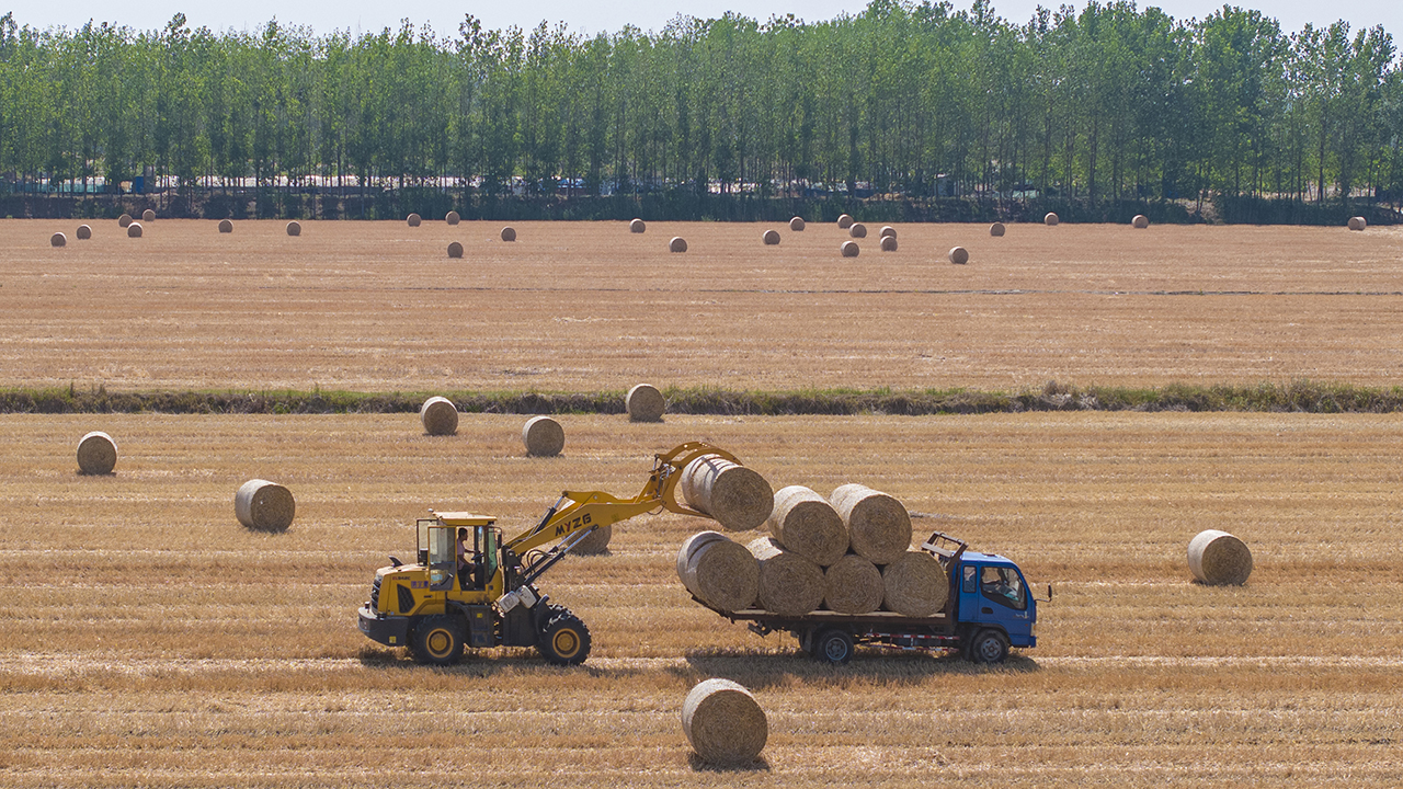 Transitioning agrifood from sustainability liability to asset