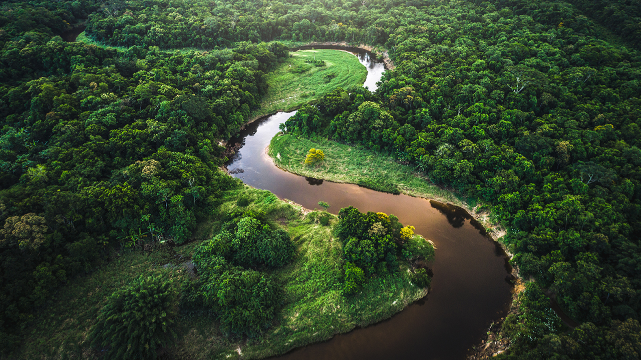 ‘Bloom or Bust’: solving the biodiversity challenge