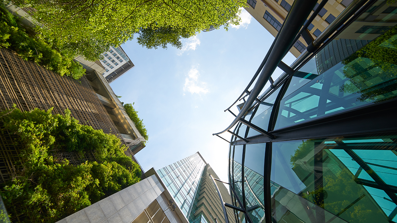 Rethinking the green revolution