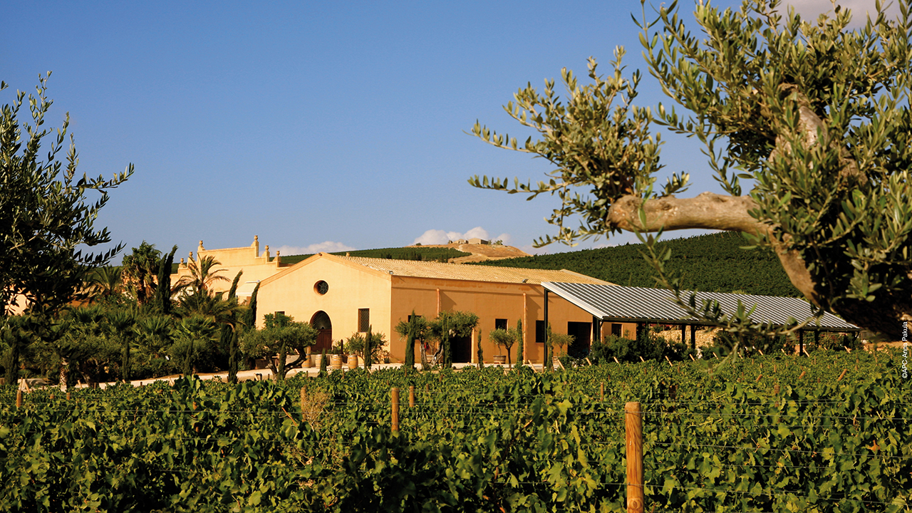 Sicilia en primeur and vegetarian cooking
