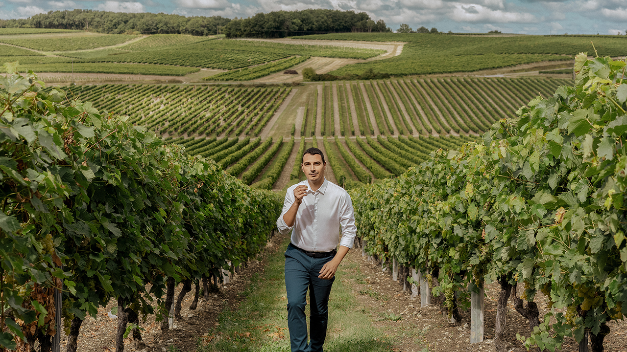 The art of making cognac