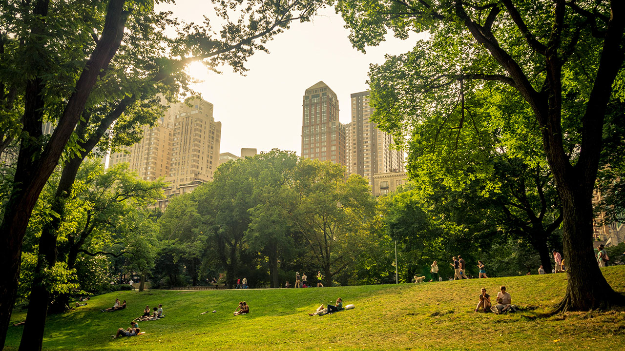 Park life