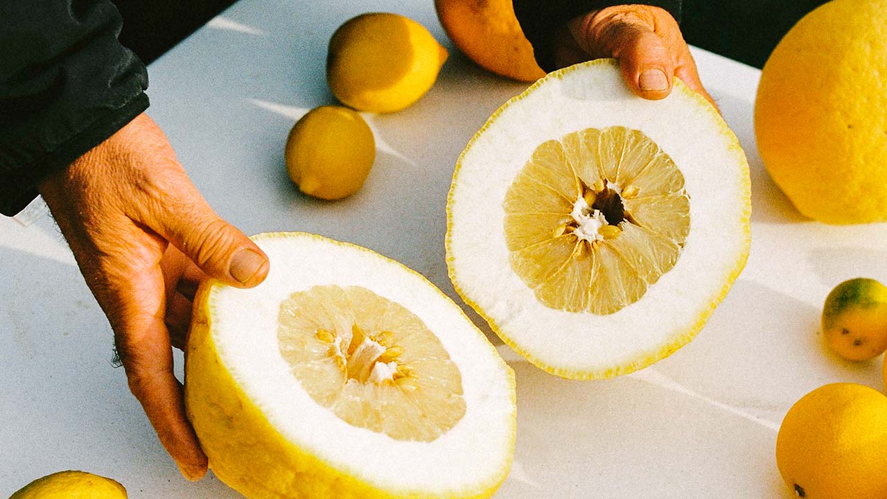 Todolí Citrus Fundacio and Henrique Sá Pessoa