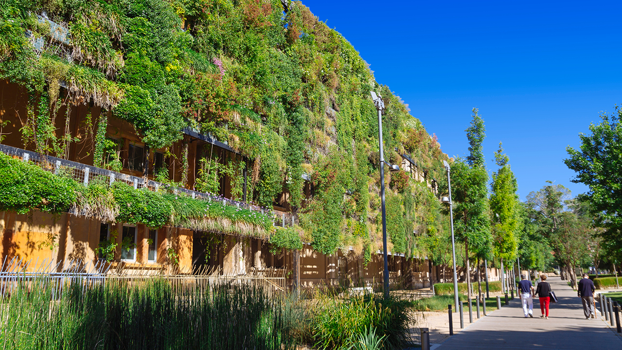 Biodiversity in the city