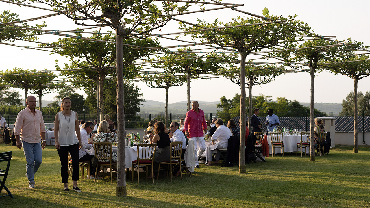 Explaining Austrian wines