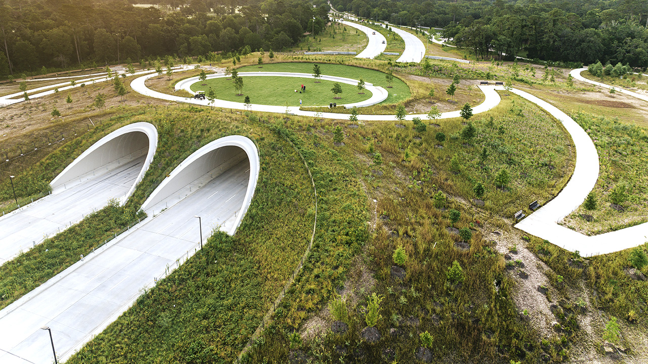 Tall Stories 382: Memorial Park, Houston