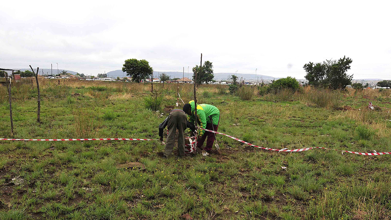 Explainer 176: Can land expropriation help heal South Africa?