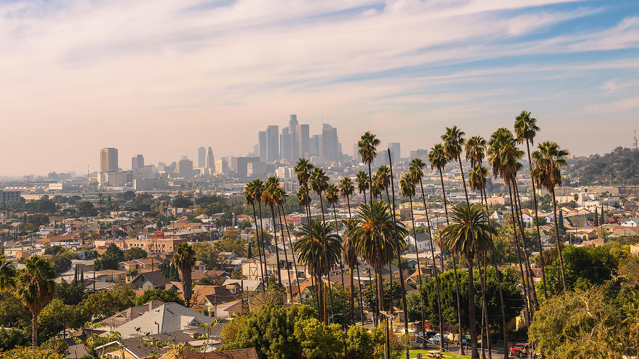 Los Angeles special