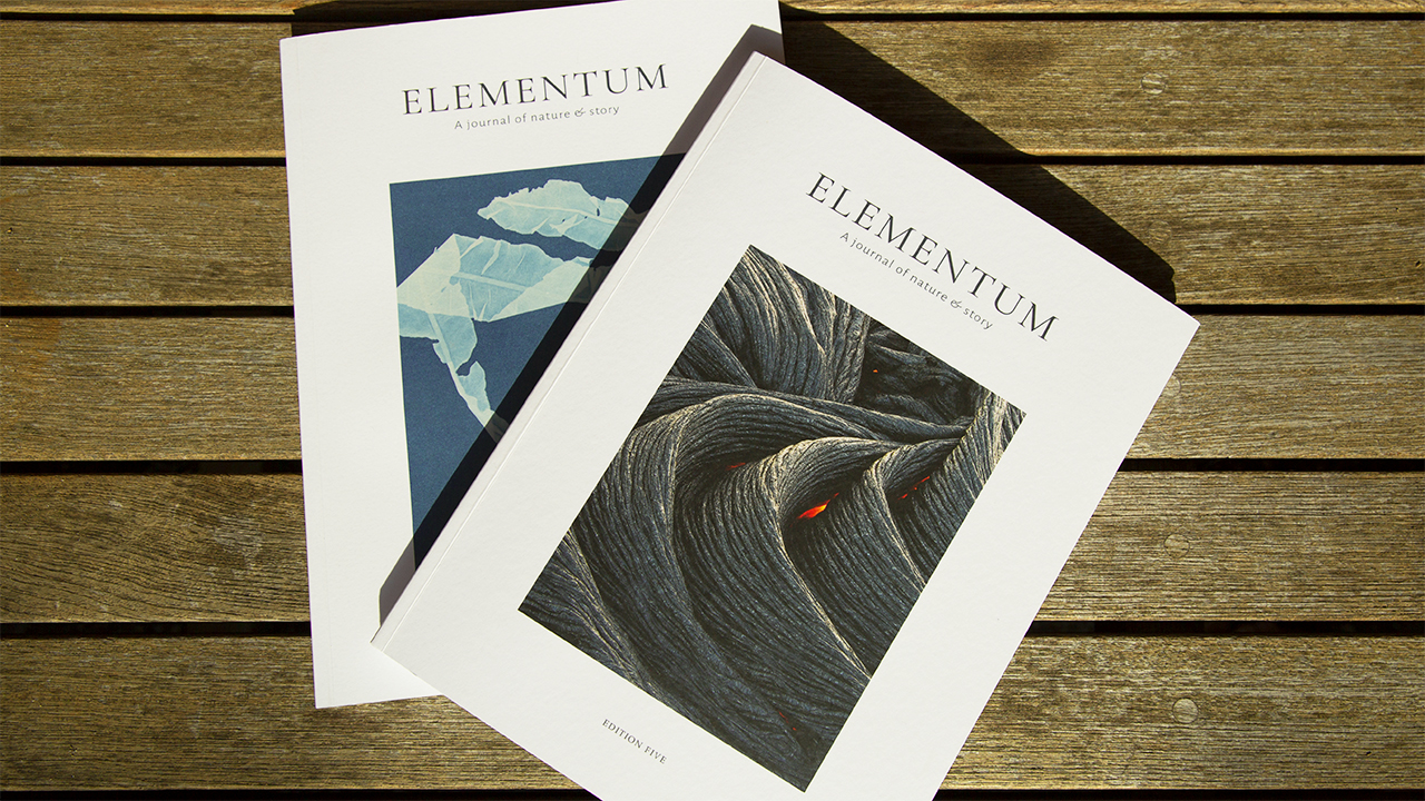 ‘Elementum’, ‘Indiecon’, ‘It’s Freezing in LA’