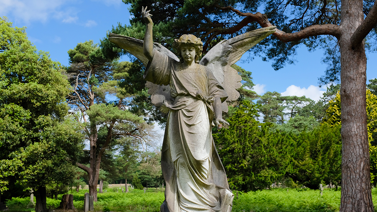 Tall Stories 263: Brookwood Cemetery, Surrey