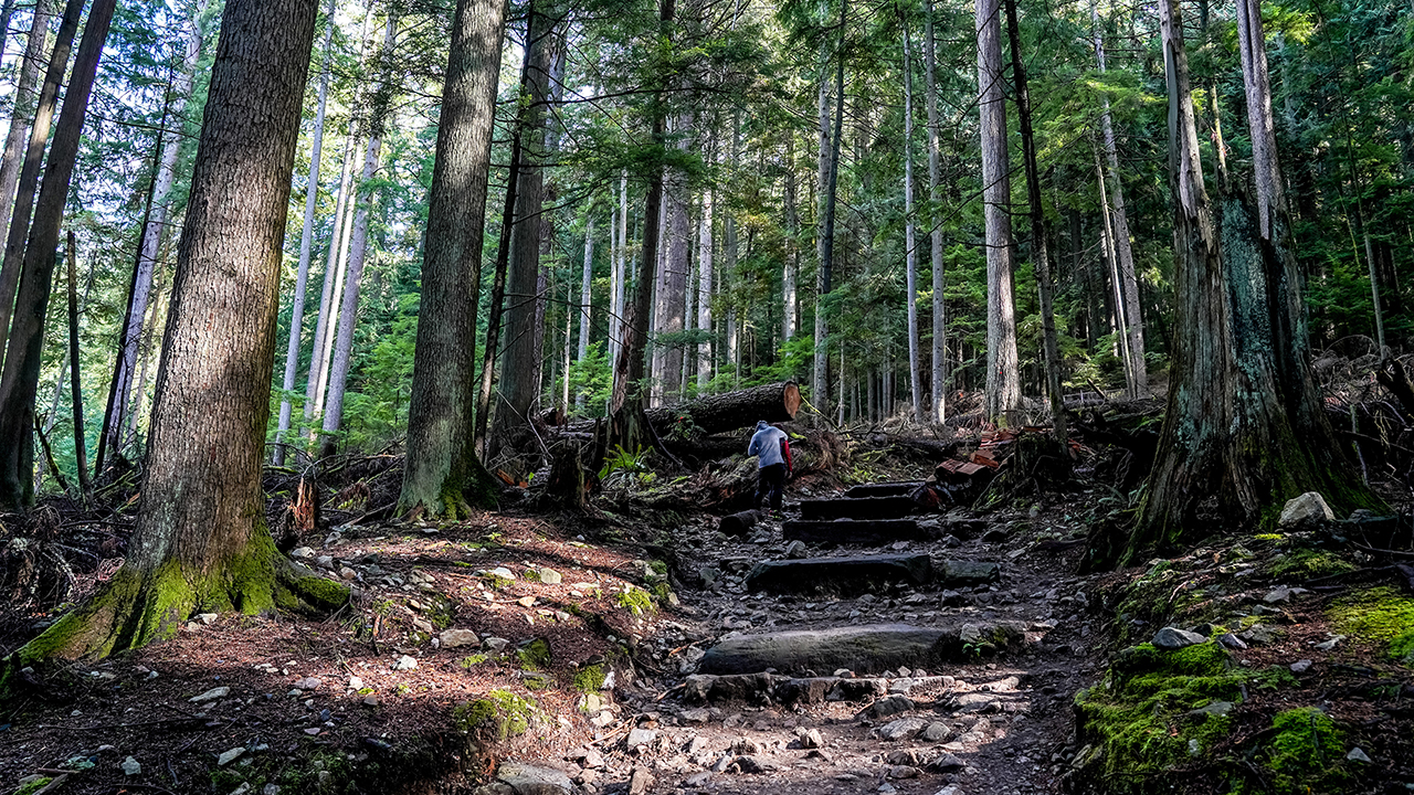 Tall Stories 373: Grouse Grind, Vancouver
