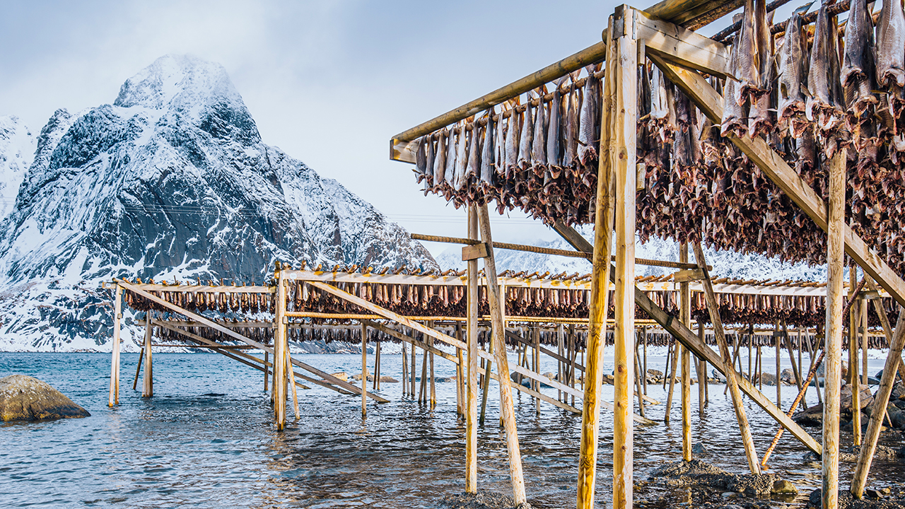 Explainer 287: Nordic Council of Ministers series, part six – Sustainable food choices