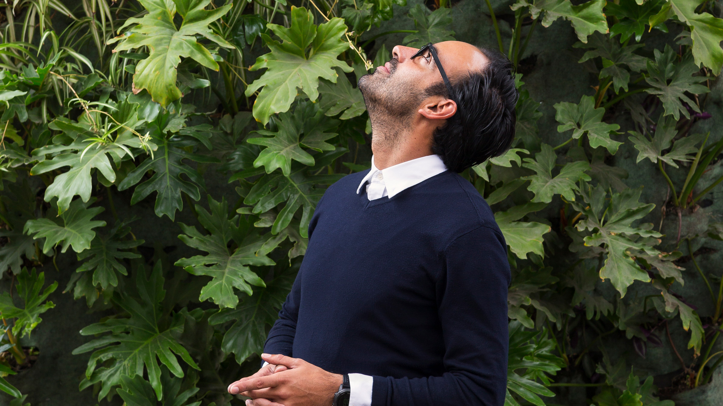 On Design 44: Vertical gardens: a breath of fresh air for overcrowded cities?