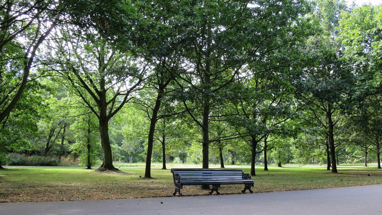 Tall Stories 47: park benches