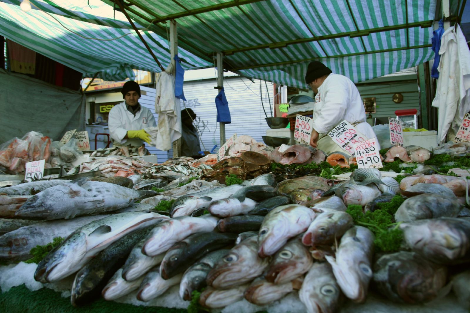 Tall Stories 113: Ridley Road Market