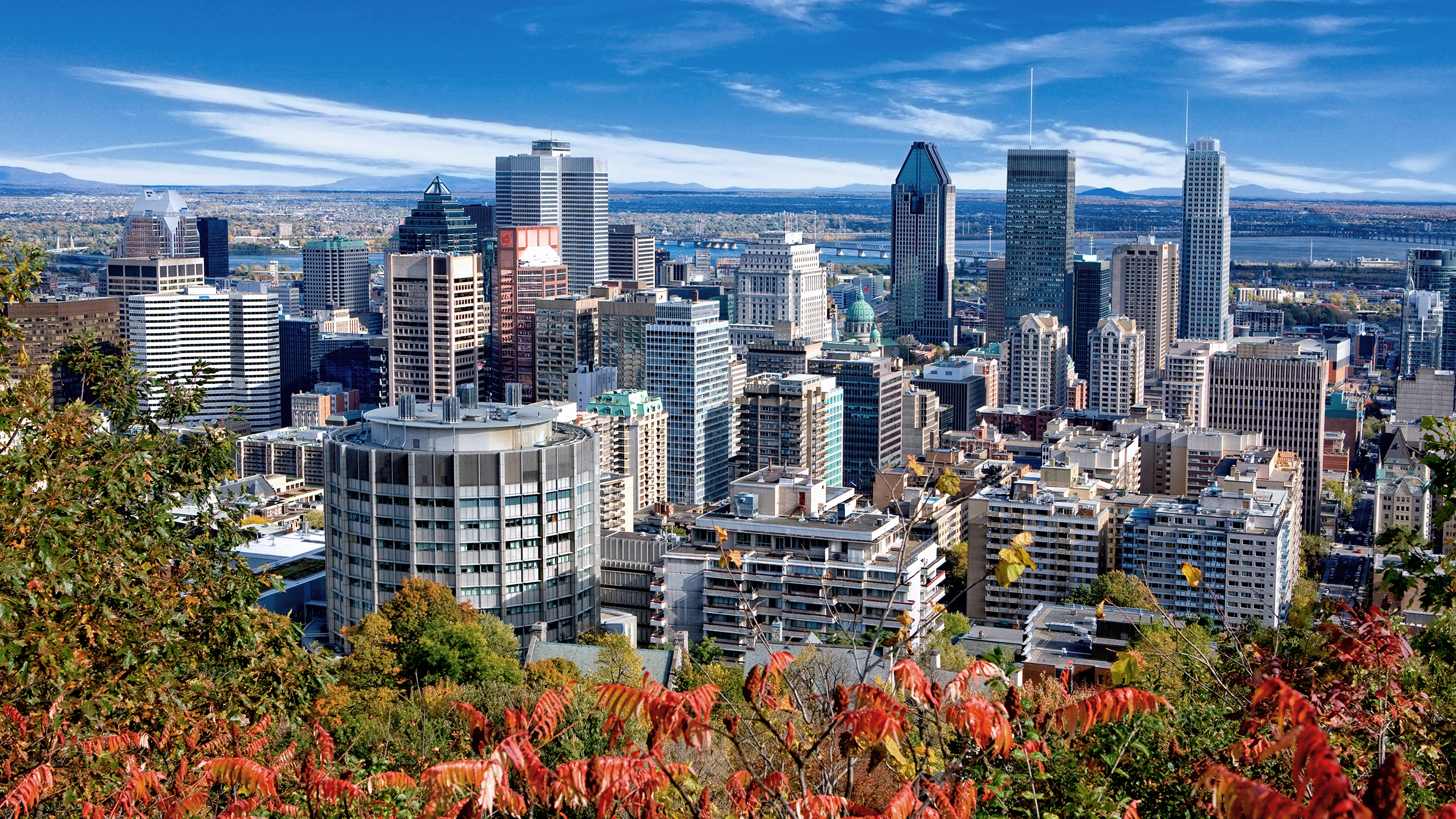 Wellbeing and cities