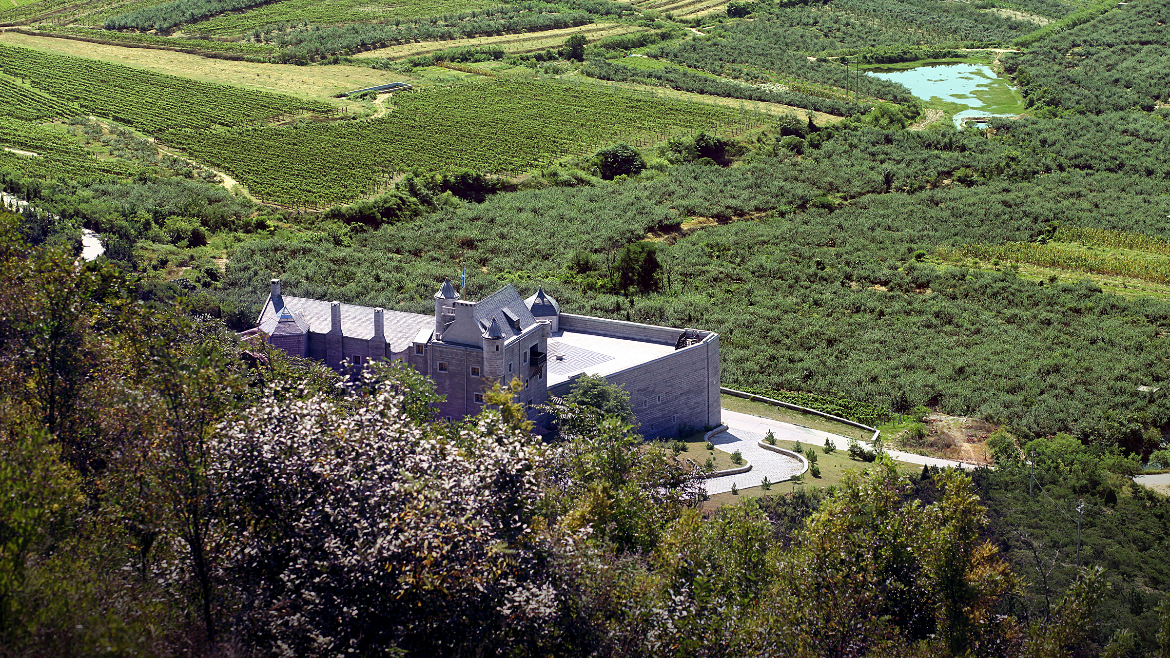 Expanding the world of wine
