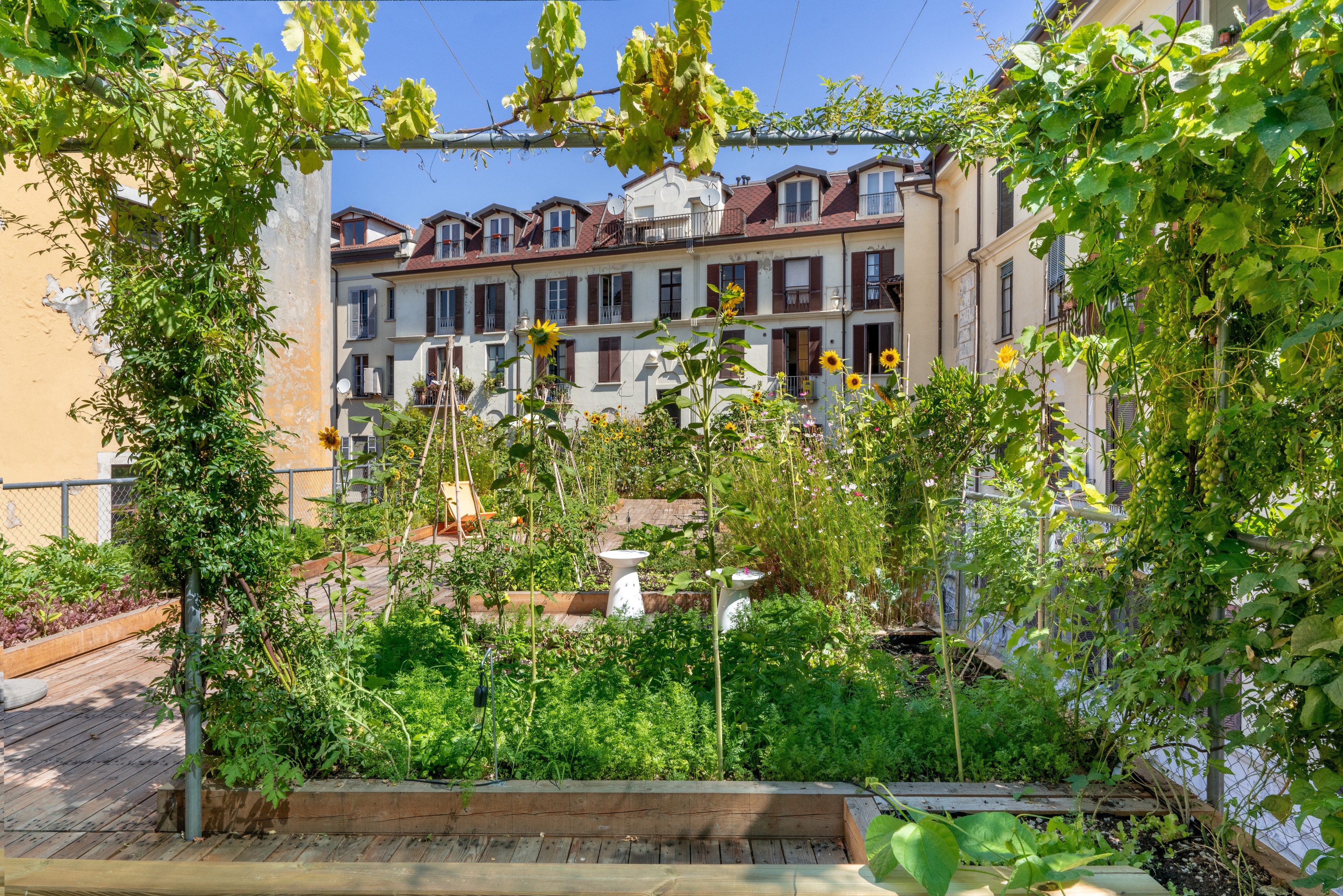 Urban agriculture