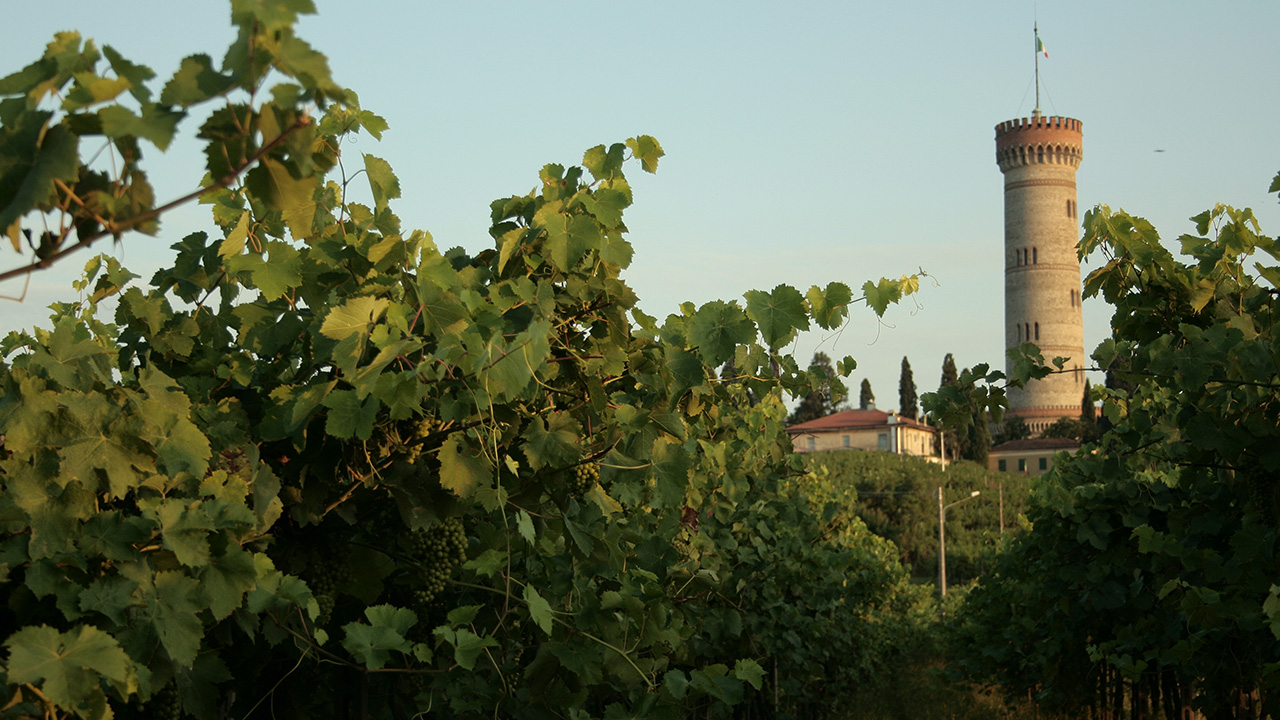 Eureka 295: Grapekeeper