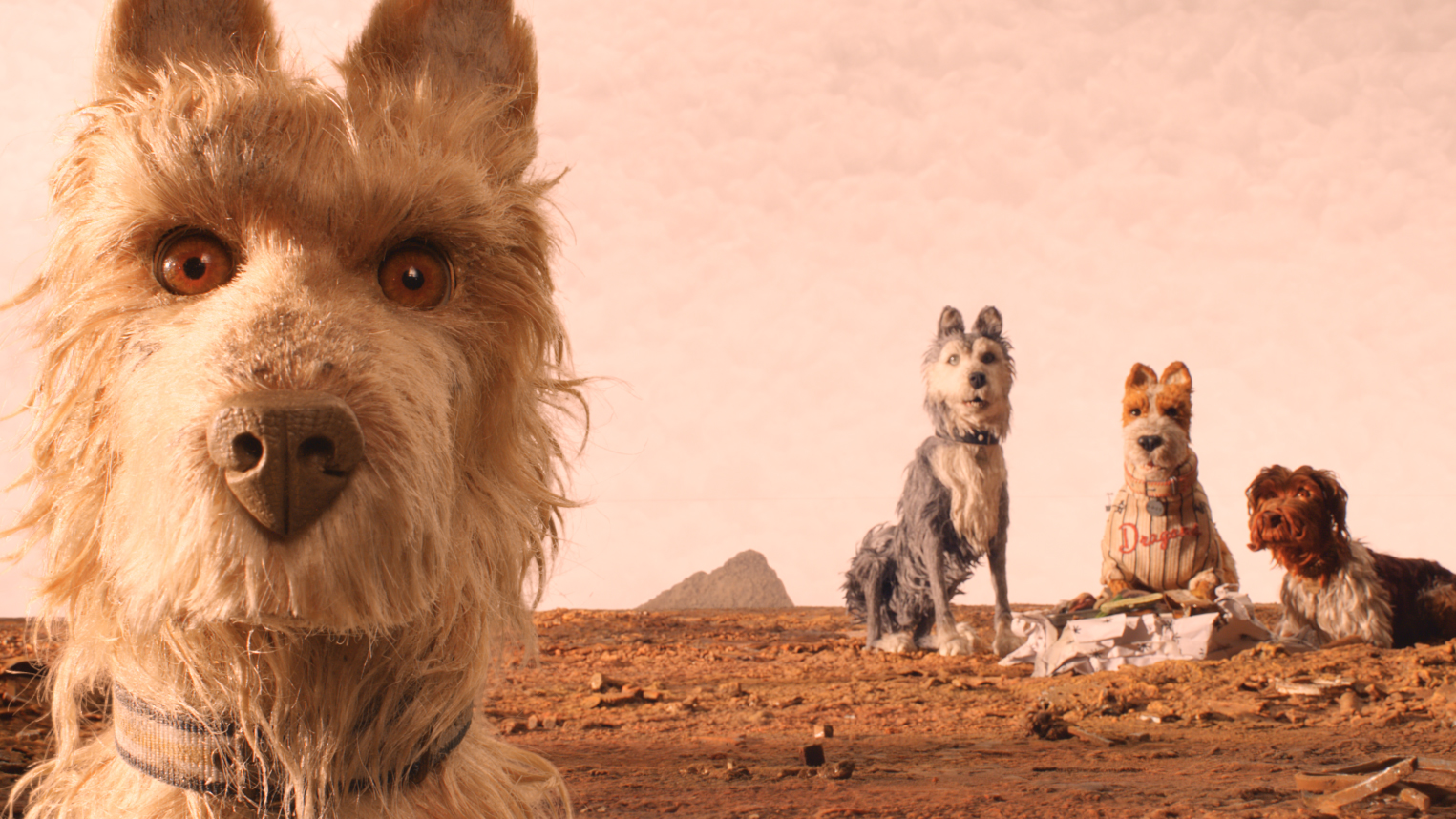 How do you design a film?