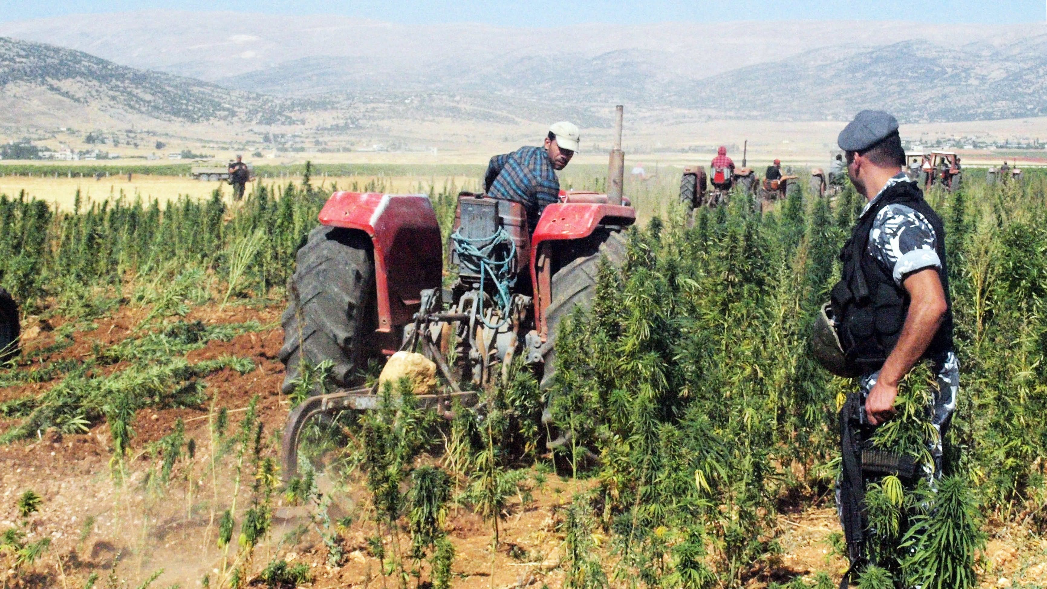 The war on drugs: time to surrender?