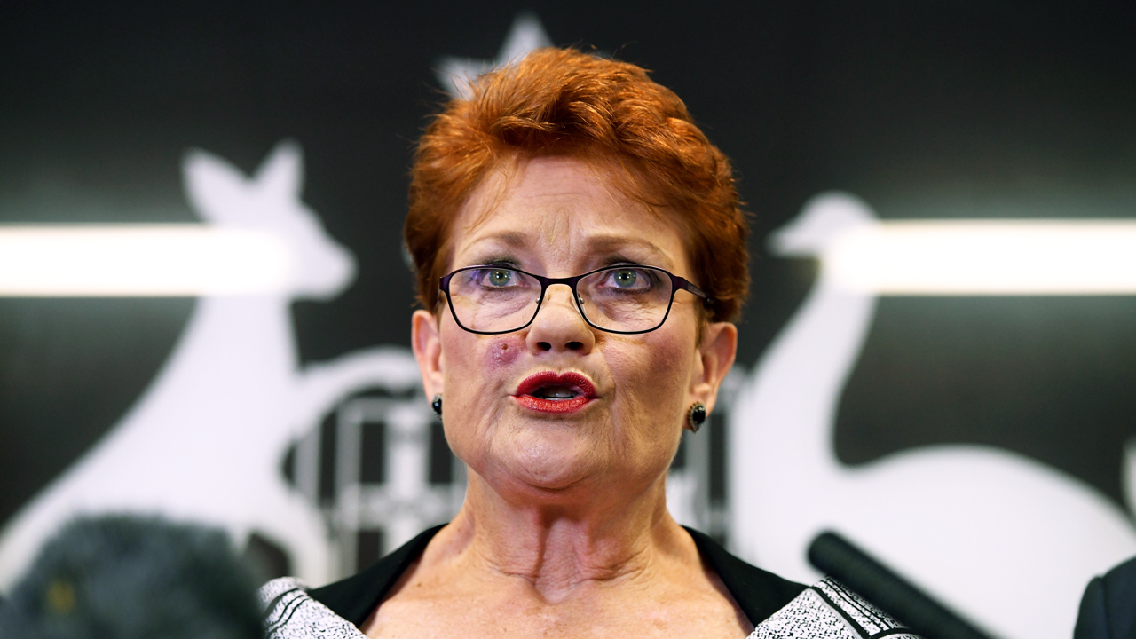 Explainer 163: What is the One Nation party, and why won’t it go away?