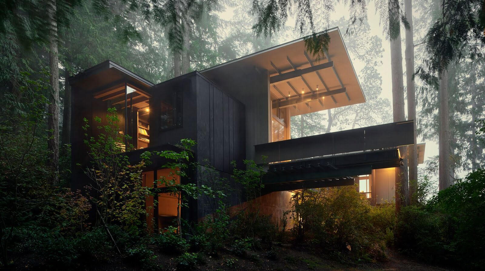 Jim Olson: framing nature